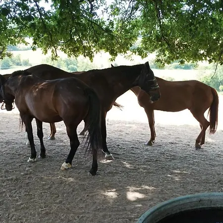 Maisonnette En Campagne 