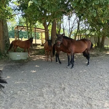 Maisonnette En Campagne 
